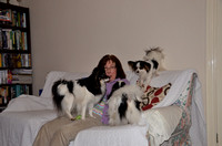 2012.02.28 Two New Puppies- Lottie & Feebie